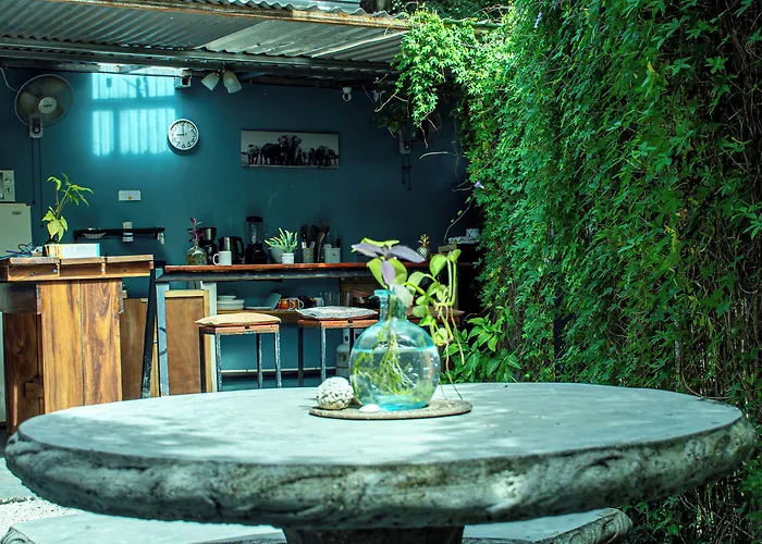 The Backside House - Women Only - Hostel Tamarindo